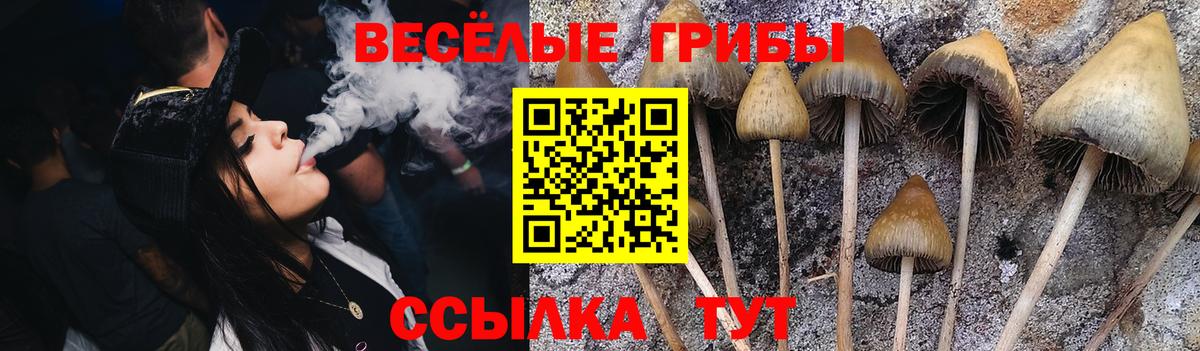Псилоцибиновые грибы GOLDEN TEACHER Миасс