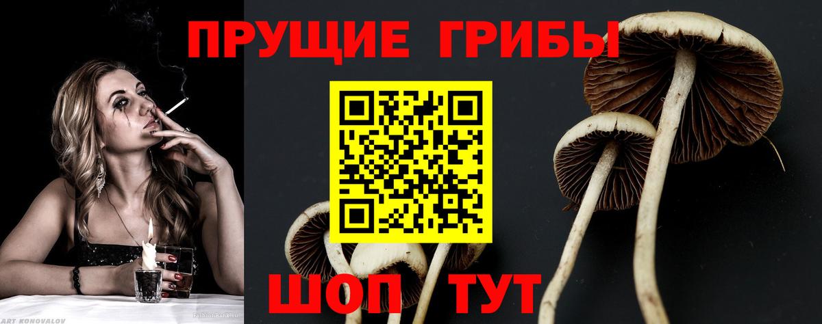 Галлюциногенные грибы GOLDEN TEACHER  Вход с VPN  Миасс 