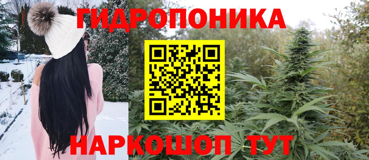 Бошки Шишки Amnesia  Канабис ГИДРОПОН  Бошки Шишки сатива  Миасс  Марихуана OG Kush  Вход с VPN 